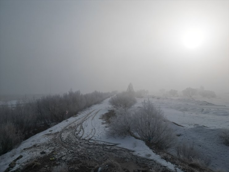 Ağrı, Ardahan ve Tunceli