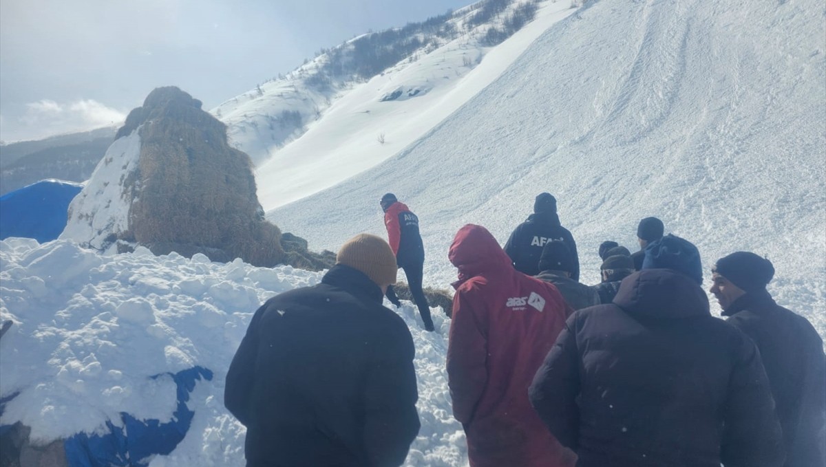 Ardahan'da köyde yerleşim alanına yakın bölgeye çığ düştü