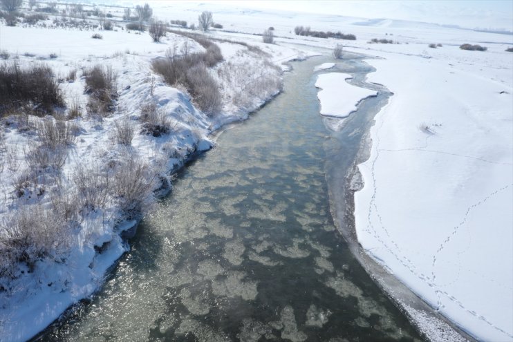 Ardahan, Iğdır ile Ağrı