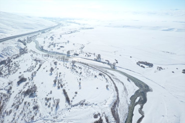 Ardahan, Iğdır ile Ağrı