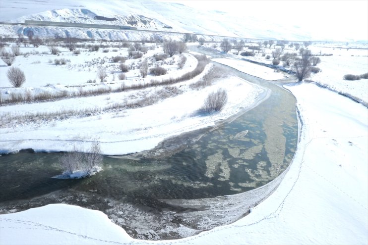 Ardahan, Iğdır ile Ağrı