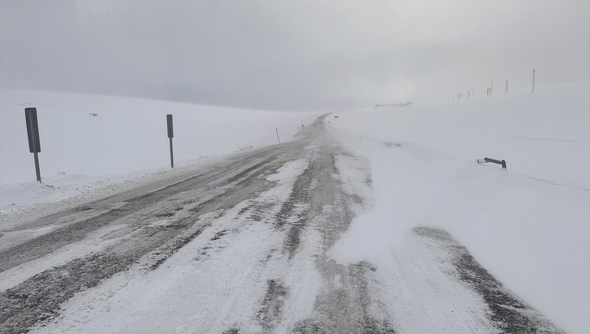 Ardahan'da kar ve tipi ulaşımı aksatıyor