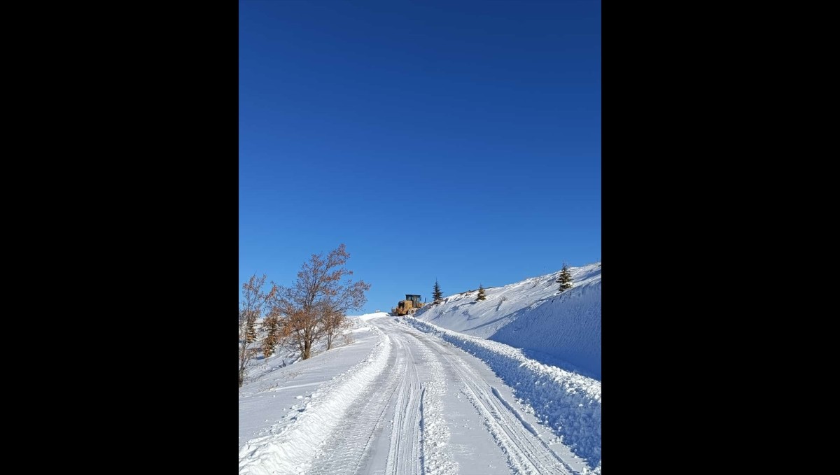 Elazığ, Siirt ve Bingöl'de kar nedeniyle 186 yerleşim yerine ulaşım sağlanamıyor