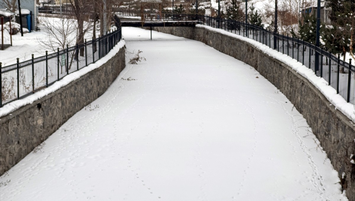 Erzincan, Kars, Ardahan ve Ağrı'da kar etkili oldu