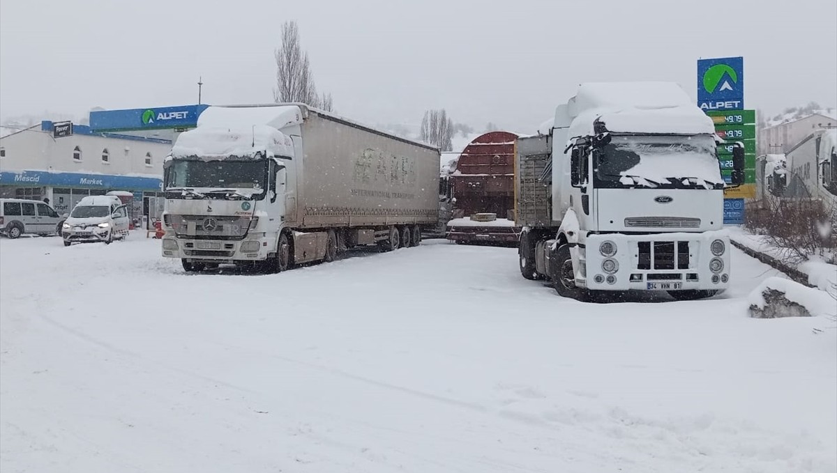 Erzurum, Ardahan ile Ağrı'da dondurucu soğuklar etkisini sürdürüyor