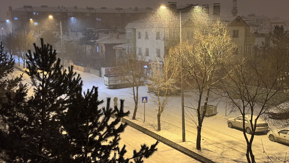 Erzurum ve Kars'ta kar yağışı etkili oluyor