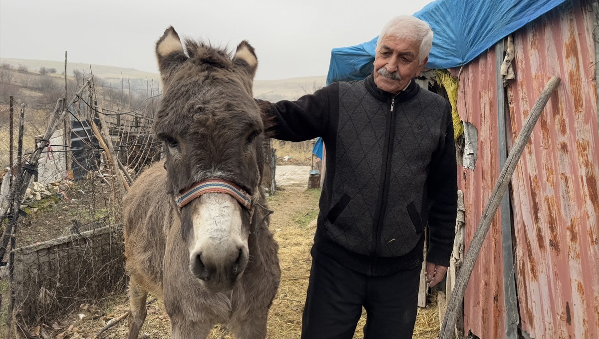 Kırsala terk edilen "Minik" adını verdiği eşeğe 21 yıldır şefkatle bakıyor