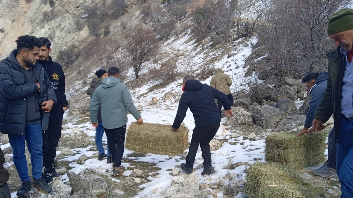 Tunceli'de üniversite öğrencileri yaban hayvanları için doğaya yem bıraktı