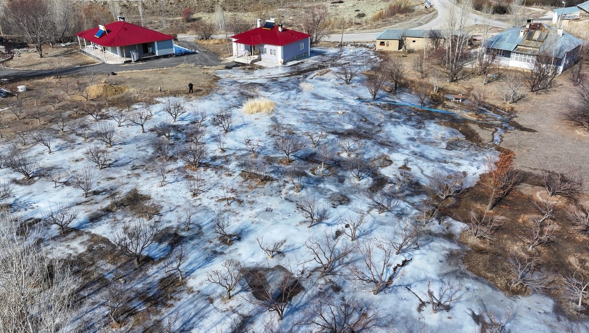 Van ve Hakkari'de soğuk hava etkili oldu