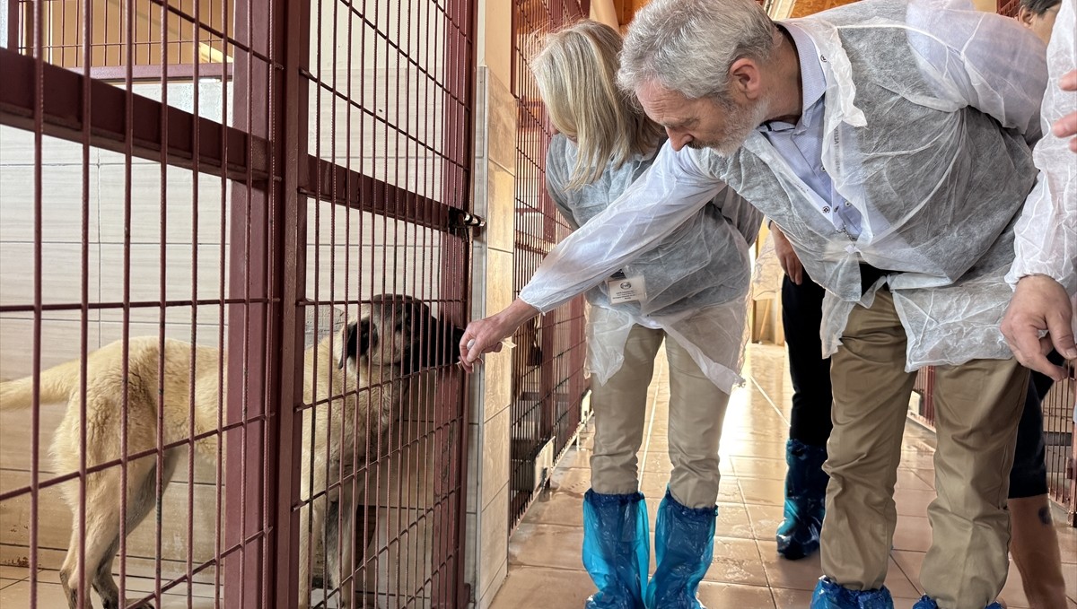 Avrupa Veteriner Eğitim Kurumları Birliği uzmanları Elazığ'da incelemelerde bulundu