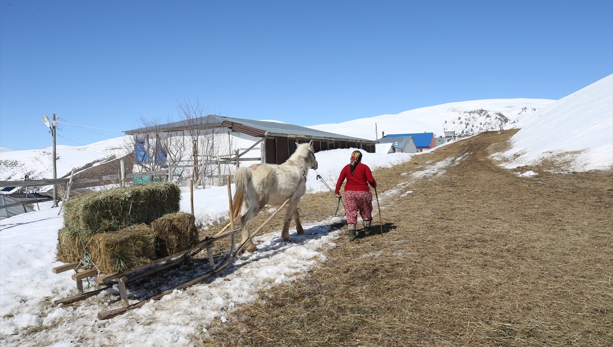 Kırsalda besicilik yapan kadınlar, hayatın zorluklarına göğüs geriyor